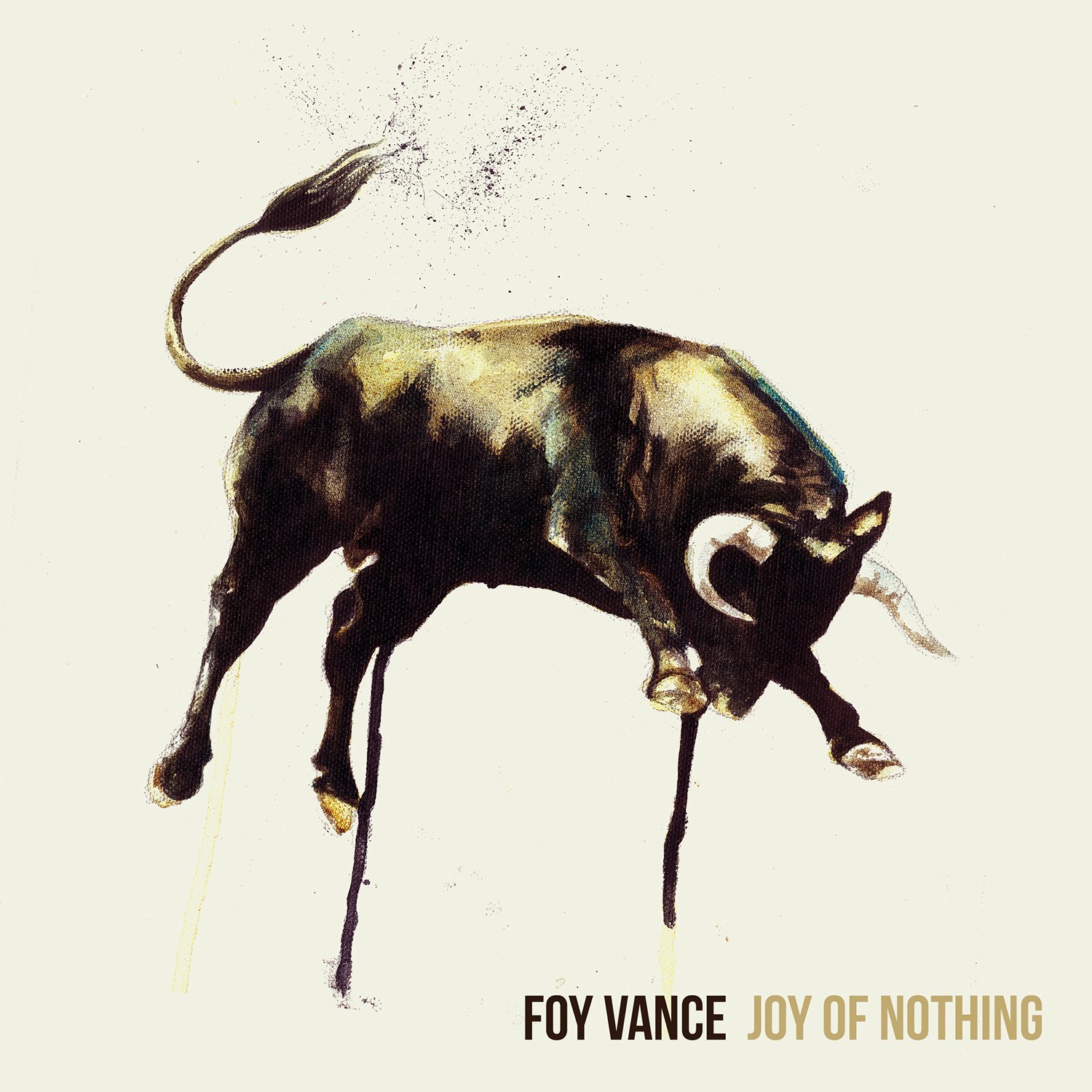 Foy Vance, Joy of Nothing